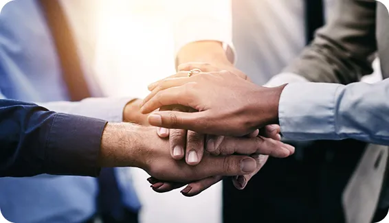 Seamless Collaboration with Your Existing Web Team