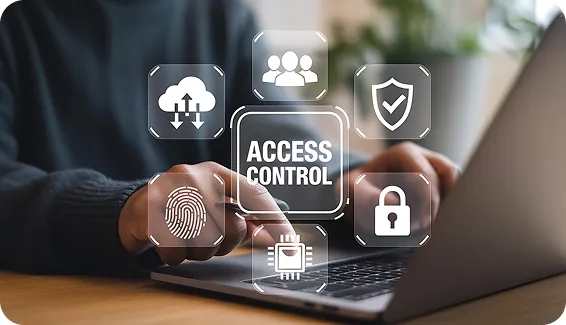 Direct Access to Senior Web Engineers & SEO Directors