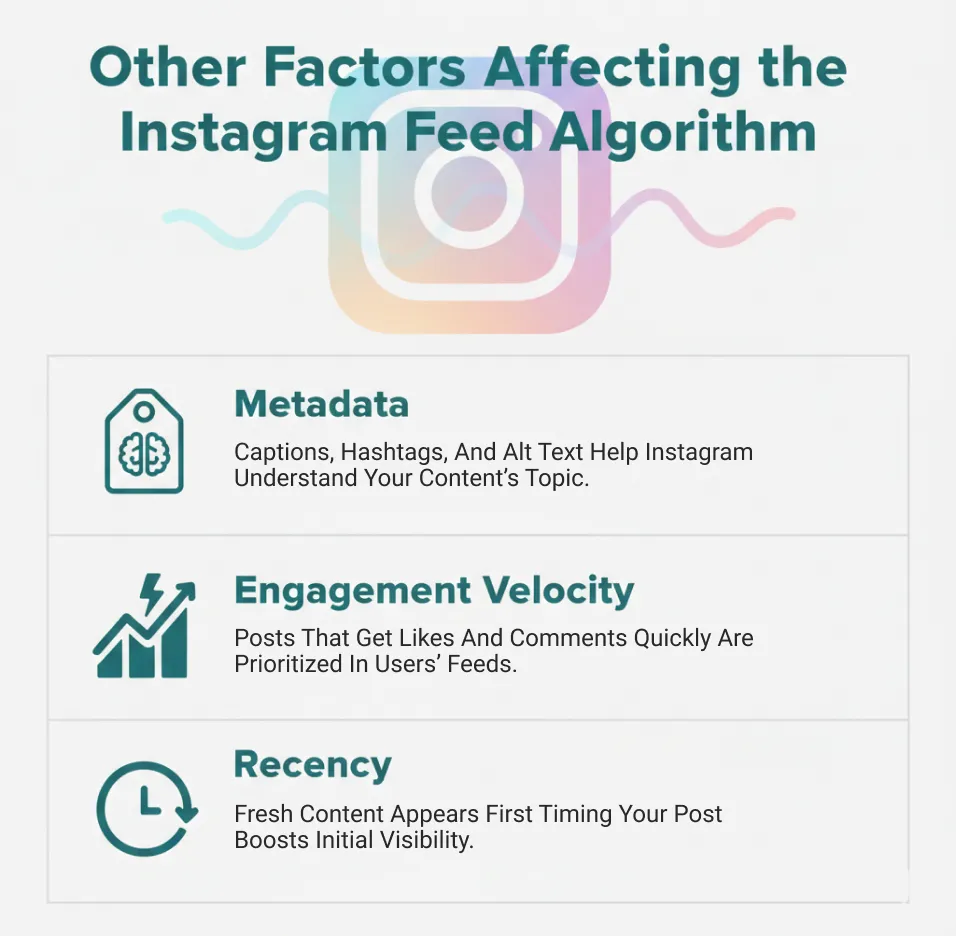 Other Factors Affecting the Instagram Feed Algorithm